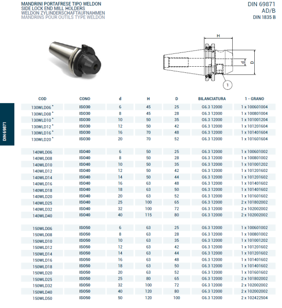 Оправка ISO50 DIN69871 WELDON H100 D.32